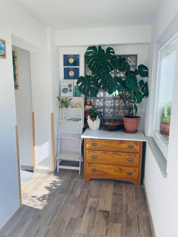 Apartma Pavla Spodnje Gorje Exterior foto